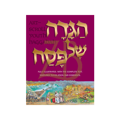 Haggadah Illustrated Youth Edition H/C