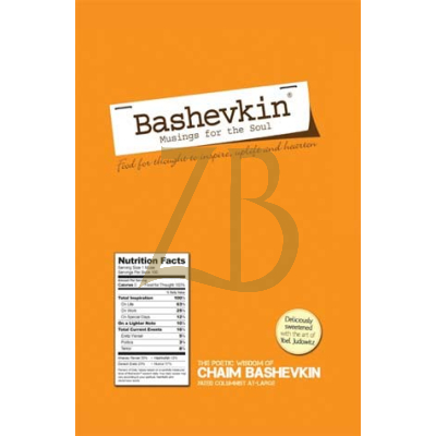 Bashevkin Musing for the soul