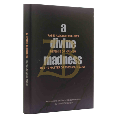 Divine Madness - Defense of Hashem in the Holocaust - R' Avigdor Miller