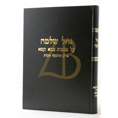 נחל שלמה - בבא קמא פרק ארבעה אבות