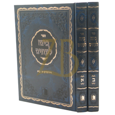 בינה לעתים - ב"כ - מישור