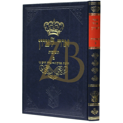 שו"ת אור לציון ח"ב