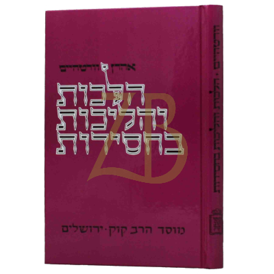 הלכות והליכות בחסידות