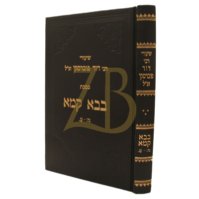 שיעורי רבי דוד פוברסקי - בבא קמא ח"ג - מדף נה: עד עג