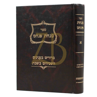 מנחת פנחס - עניני שבת