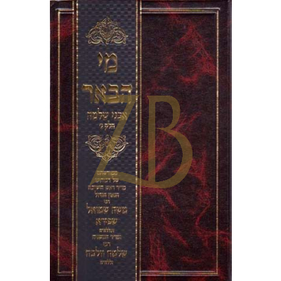 מי הבאר אבני שלמה - ר' שלמה וולבה ח"ג