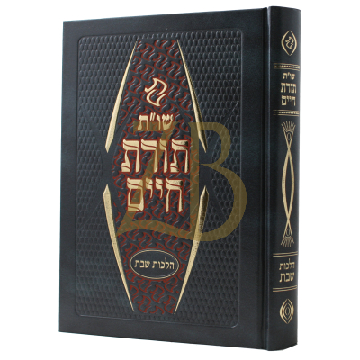 שו"ת תורת חיים - הלכות שבת