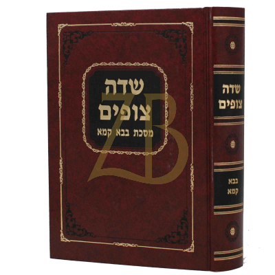 שדה צופים - בבא קמא