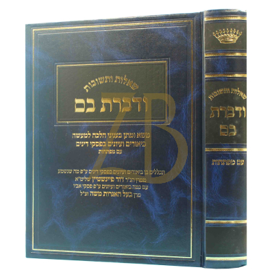שו"ת ודברת בם ח"א