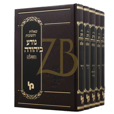 שו"ת נודע ביהודה - בינוני ה"כ - מכון ירושלים