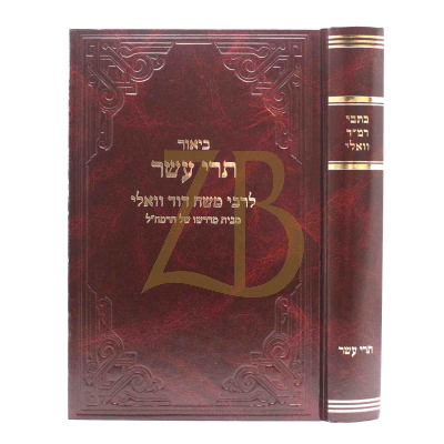 כתבי רמ"ד וואלי - תרי עשר