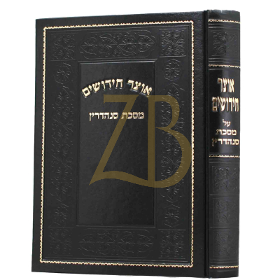 אוצר חידושים - סנהדרין