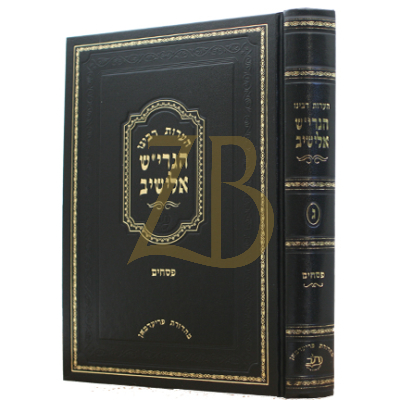 הערות רבינו הגרי"ש אלישיב - פסחים