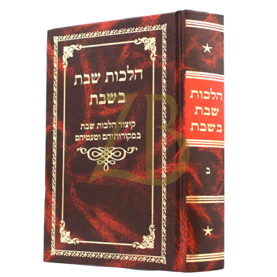 הלכות שבת בשבת - ח"ב