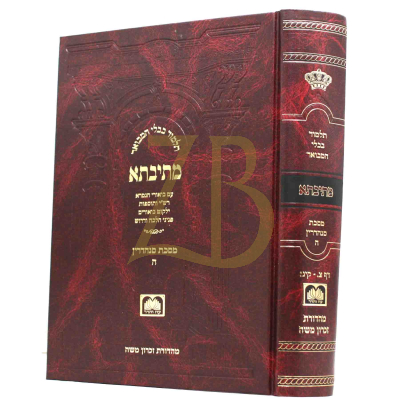 גמרא מתיבתא סנהדרין חלק ה (דף צ-קיג) פנינים
