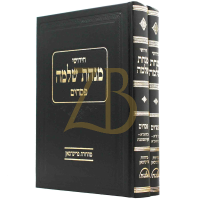 מנחת שלמה - פסחים - ב"כ
