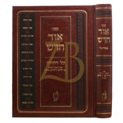 אור חדש - במדבר