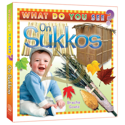 What Do You See On Sukkos