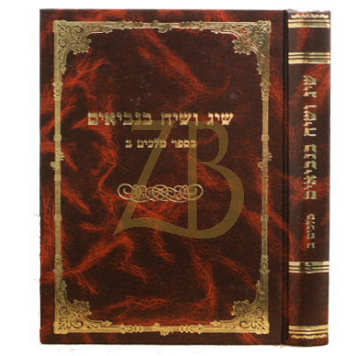 שיג ושיח בנביאים - מלכים ב