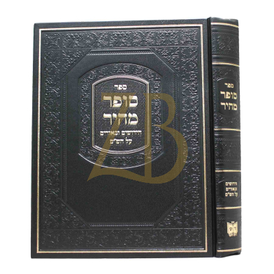 סופר מהיר - חידושים ובאורים על הש"ס