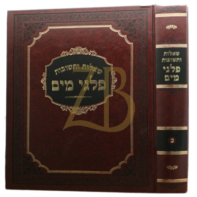 שו"ת פלגי מים ח"ב