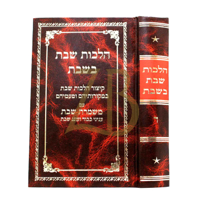 הלכות שבת בשבת - ח"ד