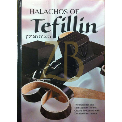 Halachos of Tefillin - Churba