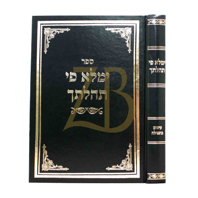 ימלא פי תהלתך - עיונים בתפילה