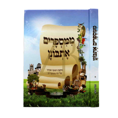 ממספרים אתבונן