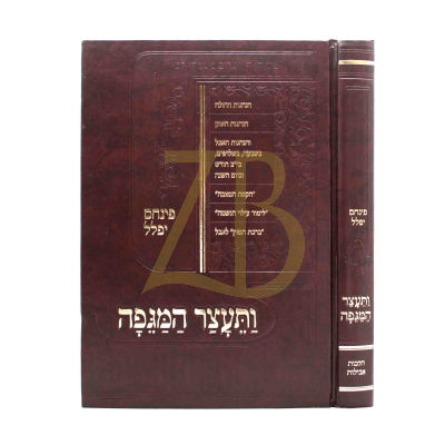 ותעצר המגפה - הנהגות החולה והאבל