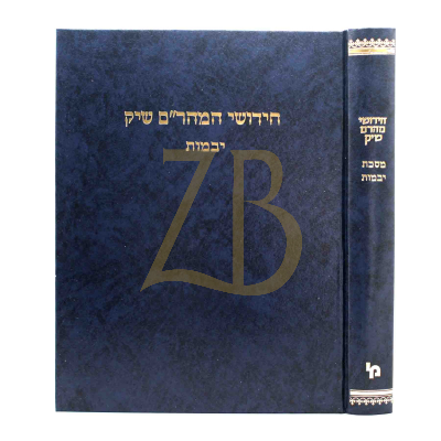 חידושי מהר"ם שיק - יבמות