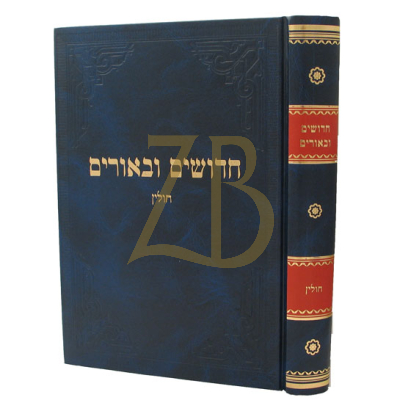 חדושים ובאורים - חולין