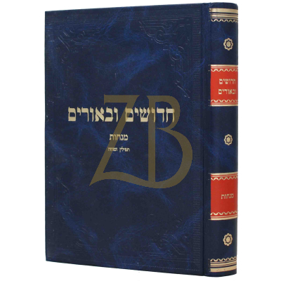 חדושים ובאורים - מנחות