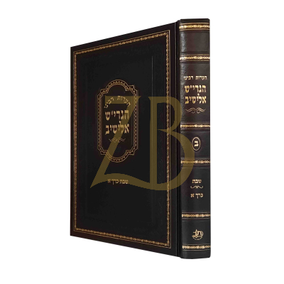 הערות רבינו הגרי"ש אלישיב - שבת א