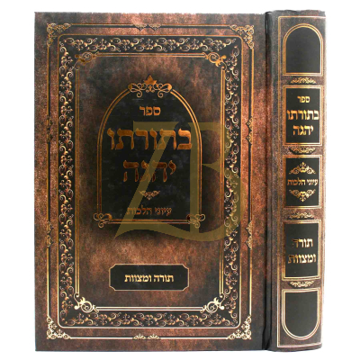 בתורתו יהגה - עיוני הלכות - תורה ומצוות