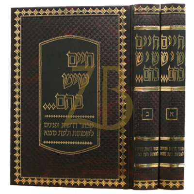 חיים שיש בהם - דרשות לשמחות ב"כ