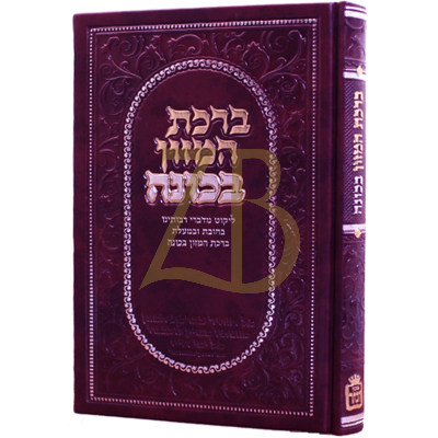 ברכת המזון בכונה
