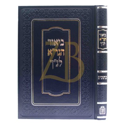 ביאור הגר"א לנ"ך - כתובים