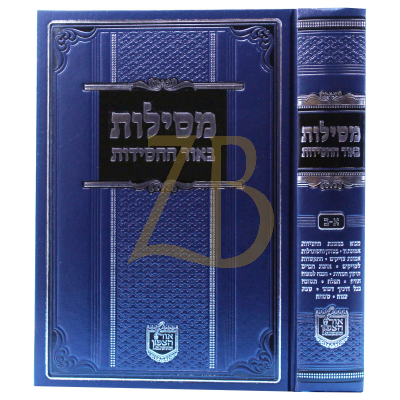 מסילות באור החסידות - ענינים בכ"א