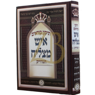 תיקון קוראים - איש מצליח - בינוני
