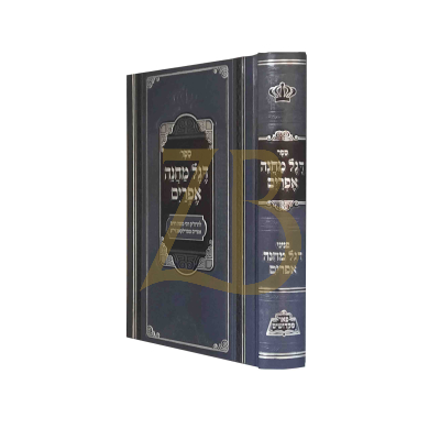 דגל מחנה אפרים - מכון פאר מקדושים