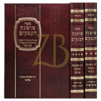 שושנת העמקים - דיני הכתובה ומזונות - ב"כ