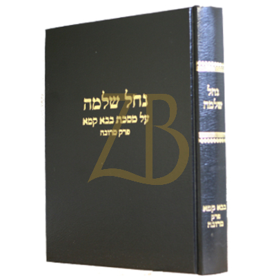 נחל שלמה - בבא קמא פרק מרובה