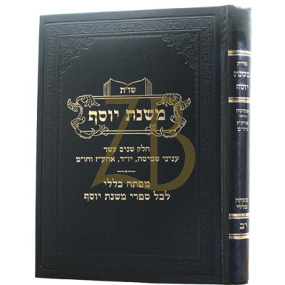 שו"ת משנת יוסף חלק יב - שמיטה ועוד ומפתח כללי