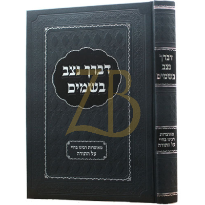 דברך נצב בשמים - מאוצרות רבינו בחיי - עה"ת