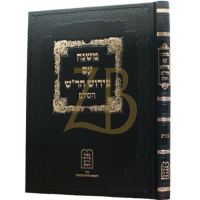 פירוש הר"ש - נגעים