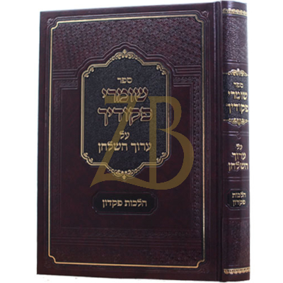 שומרי פקודיך - הל' פקדון - דברי חיים