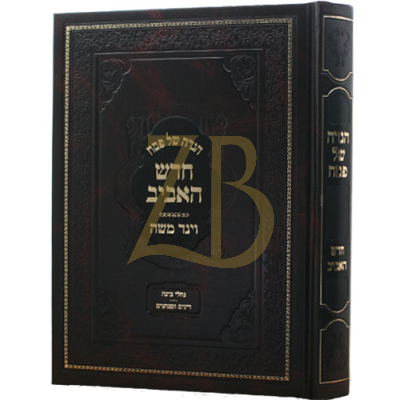 הגדה חודש האביב - ויגד משה - חדש