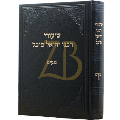 שיעורי רבנו יחיאל מיכל - נגעים ב