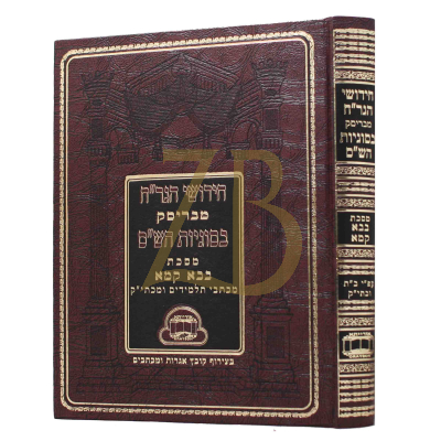 חידושי הגר"ח מבריסק - בבא קמא